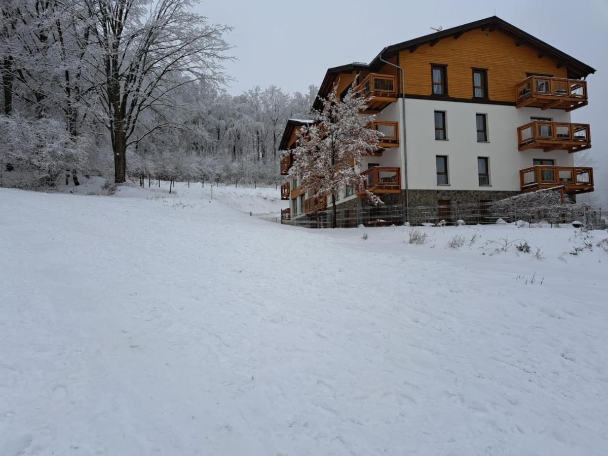 Apartament Zaciszny Szklarska Poreba Bagian luar foto